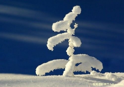 雪景拍攝技巧全攻略