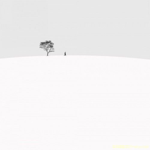 雪景拍攝技巧全攻略